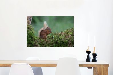 Glasbilder - 90x60 cm - Eichhörnchen - Wald - Moos (Gr. 90x60 cm)