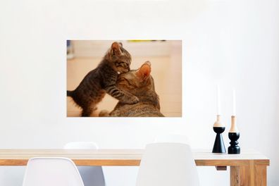 Glasbilder - 90x60 cm - Katze - Kätzchen - Schwarz (Gr. 90x60 cm)