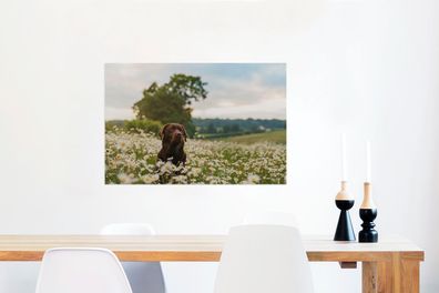 Glasbilder - 60x40 cm - Hund - Blumen - Wiese (Gr. 60x40 cm)