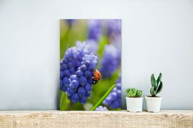 Glasbilder - 20x30 cm - Marienkäfer - Blumen - Makro (Gr. 20x30 cm)