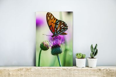 Glasbilder - 20x30 cm - Schmetterling - Blumen - Insekten (Gr. 20x30 cm)