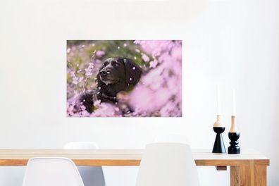 Glasbilder - 60x40 cm - Hund - Blumen - Haustier (Gr. 60x40 cm)