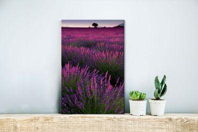 Leinwandbilder - 20x30 cm - Sonnenuntergang beleuchtet Lavendelfeld in Frankreich