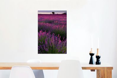Leinwandbilder - 60x90 cm - Sonnenuntergang beleuchtet Lavendelfeld in Frankreich