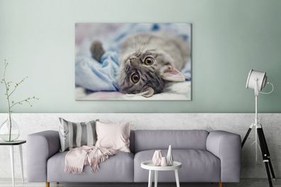 Leinwandbilder - 140x90 cm - Katze - Tier - Makro (Gr. 140x90 cm)