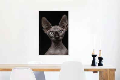 Leinwandbilder - 40x60 cm - Katze - Sphynx - Schwarz (Gr. 40x60 cm)