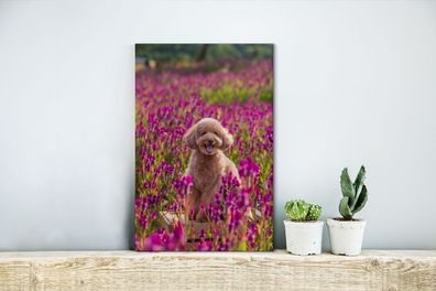 Leinwandbilder - 20x30 cm - Hund - Blumen - Lavendel - Frühling (Gr. 20x30 cm)