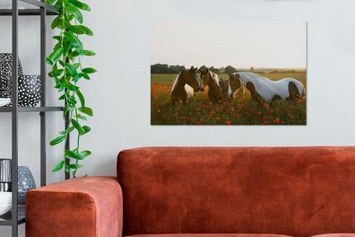 Leinwandbilder - 90x60 cm - Pferde - Blumen - Sonne (Gr. 90x60 cm)