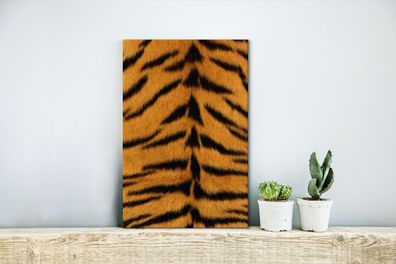 Leinwandbilder - 20x30 cm - Mantel - Tiger - Tiere (Gr. 20x30 cm)
