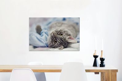 Leinwandbilder - 90x60 cm - Katze - Tier - Makro (Gr. 90x60 cm)