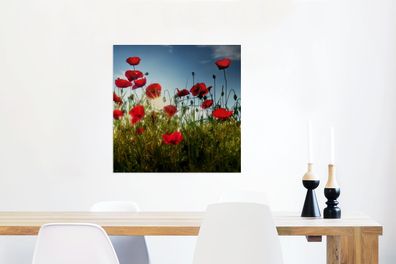 Glasbilder - 50x50 cm - Lange rote Mohnblumen in der Toskana an einem sonnigen Tag