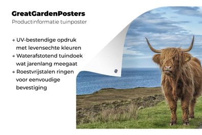 Gartenposter - 180x120 cm - Schottische Highlander - Wolken - Landschaft
