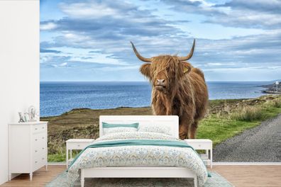 Fototapete - 450x300 cm - Schottische Highlander - Wolken - Landschaft
