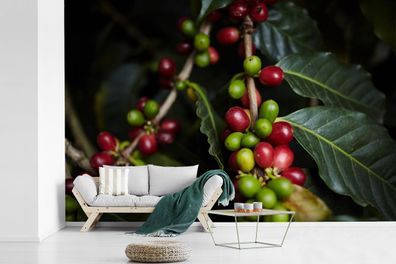 Fototapete - 450x300 cm - Frische Kaffeebohnen am Baum mit tropischen Farben