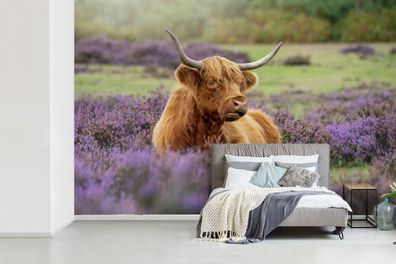 Fototapete - 420x280 cm - Schottischer Highlander - Blumen - Licht (Gr. 420x280 cm)