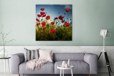 Leinwandbilder - 90x90 cm - Lange rote Mohnblumen in der Toskana an einem sonnigen Ta