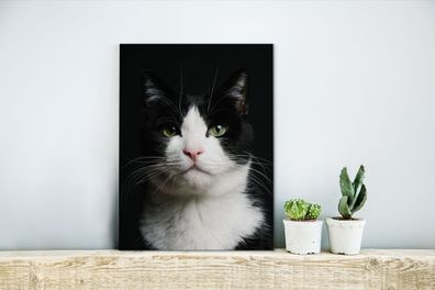 Leinwandbilder - 30x40 cm - Katze - Schwarz - Weiß (Gr. 30x40 cm)