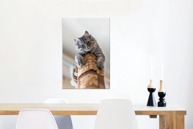 Leinwandbilder - 40x60 cm - Katze - Kratzbaum - Grau (Gr. 40x60 cm)