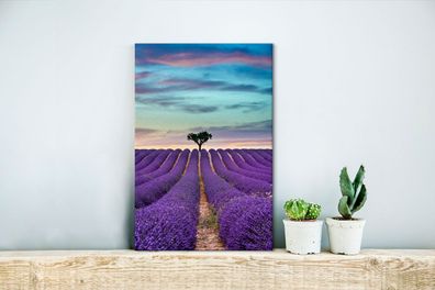 Leinwandbilder - 20x30 cm - Lavendelfeld bei Sonnenuntergang mit Baum am Horizont