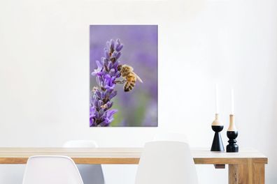 Leinwandbilder - 40x60 cm - Biene auf Lavendel (Gr. 40x60 cm)