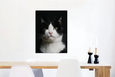Leinwandbilder - 60x80 cm - Katze - Schwarz - Weiß (Gr. 60x80 cm)