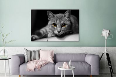 Leinwandbilder - 120x80 cm - Katze - Tier - Makro (Gr. 120x80 cm)