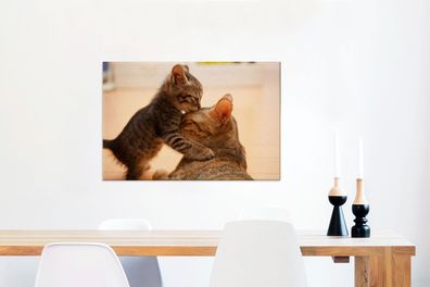 Leinwandbilder - 60x40 cm - Katze - Kätzchen - Schwarz (Gr. 60x40 cm)