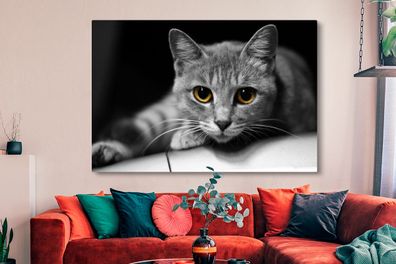 Leinwandbilder - 150x100 cm - Katze - Tier - Makro (Gr. 150x100 cm)