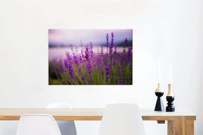 Leinwandbilder - 90x60 cm - Lavendel mit Biene (Gr. 90x60 cm)