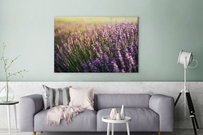 Leinwandbilder - 140x90 cm - Lavendel auf einem Feld (Gr. 140x90 cm)