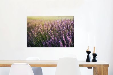 Leinwandbilder - 90x60 cm - Lavendel auf einem Feld (Gr. 90x60 cm)