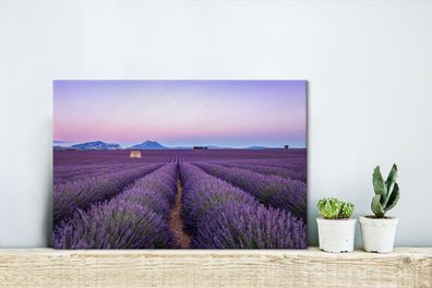 Leinwandbilder - 30x20 cm - Lavendelfeld bei Sonnenuntergang in Südfrankreich