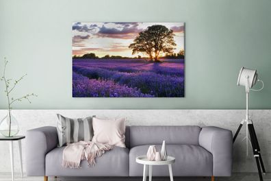 Leinwandbilder - 120x80 cm - Lavendelfelder in England bei Sonnenuntergang