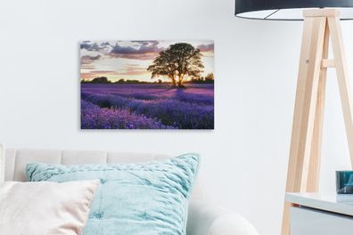 Leinwandbilder - 30x20 cm - Lavendelfelder in England bei Sonnenuntergang