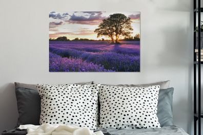 Leinwandbilder - 60x40 cm - Lavendelfelder in England bei Sonnenuntergang