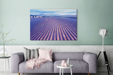 Leinwandbilder - 140x90 cm - Lila Lavendelfelder in Blüte (Gr. 140x90 cm)