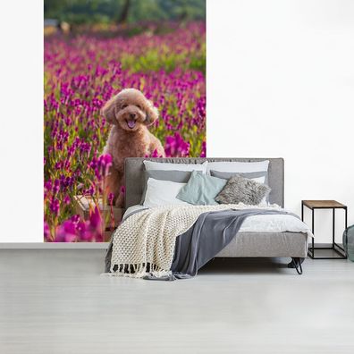 Fototapete - 180x280 cm - Hund - Blumen - Lavendel - Frühling (Gr. 180x280 cm)
