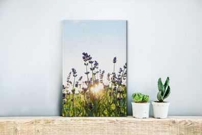 Leinwandbilder - 20x30 cm - Nahaufnahme von Lavendel bei Sonnenuntergang