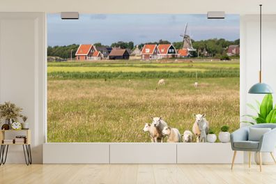 Fototapete - 450x300 cm - Schafe und eine Mühle auf Ameland (Gr. 450x300 cm)
