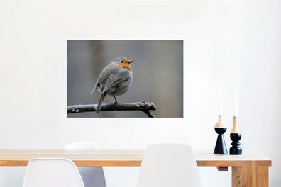 Glasbilder - 60x40 cm - Rotkehlchen - Zweig - Winter (Gr. 60x40 cm)