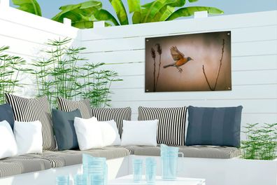 Gartenposter - 60x40 cm - Rotkehlchen - Flügel - Natur (Gr. 60x40 cm)