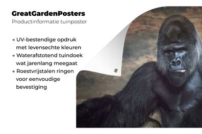 Gartenposter - 180x120 cm - Porträtbild eines schwarzen Gorillas (Gr. 180x120 cm)