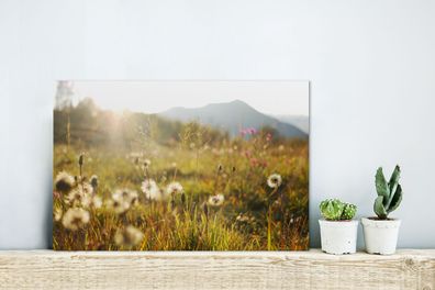 Glasbilder - 30x20 cm - Licht - Gras - Blumen (Gr. 30x20 cm)