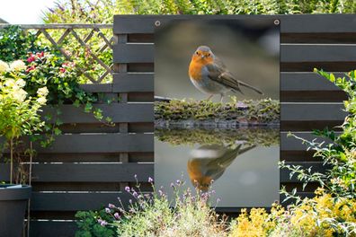 Gartenposter - 80x120 cm - Rotkehlchen - Wasser - Moos (Gr. 80x120 cm)