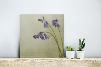 Glasbilder - 20x20 cm - Stachelige Sternhyazinthen auf hellgrünem Hintergrund