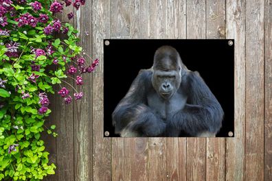 Gartenposter - 80x60 cm - Ein Gorilla schaut eindrucksvoll in die Kamera