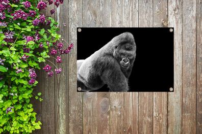 Gartenposter - 90x60 cm - Ein prächtiger Gorilla blickt herab (Gr. 90x60 cm)