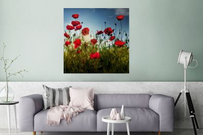Glasbilder - 90x90 cm - Lange rote Mohnblumen in der Toskana an einem sonnigen Tag