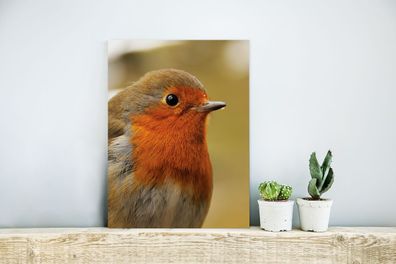 Glasbilder - 30x40 cm - Vogel - Rotkehlchen - Porträt (Gr. 30x40 cm)