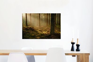 Glasbilder - 90x60 cm - Licht - Baum - Herbst (Gr. 90x60 cm)
